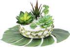 Supla 5 Pcs Assorted Artificial Succulents Plants Unpotted Small Green Cactus Echeveria Picks Fake Succulents Bulk for Succulent Garden Centerpiece Wreath Floral Arrangement Indoor Outdoor Home Décor