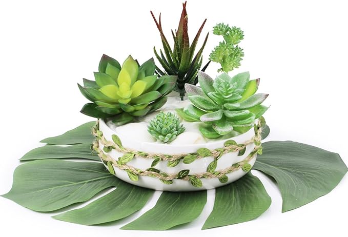 Supla 5 Pcs Assorted Artificial Succulents Plants Unpotted Small Green Cactus Echeveria Picks Fake Succulents Bulk for Succulent Garden Centerpiece Wreath Floral Arrangement Indoor Outdoor Home Décor