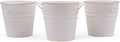 Hosley Set of 3 Whitewash Metal Bucket with PVC Liner, 5-Inch Height Plant Pot, Ideal for Floral Arrangements, Wedding, Home Office, Party, Garden Patio, DIY Indoor, Outdoor Garden.