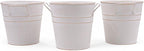 Hosley Set of 3 Whitewash Metal Bucket with PVC Liner, 5-Inch Height Plant Pot, Ideal for Floral Arrangements, Wedding, Home Office, Party, Garden Patio, DIY Indoor, Outdoor Garden.