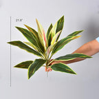 2 Pcs Artificial Cordyline Fruticosa Logs Tropcial Plant 21.6in Fake Dracaena Tree for Indoor Outdoor Office Home Living Room Patio Greenery Porch Decor (White)
