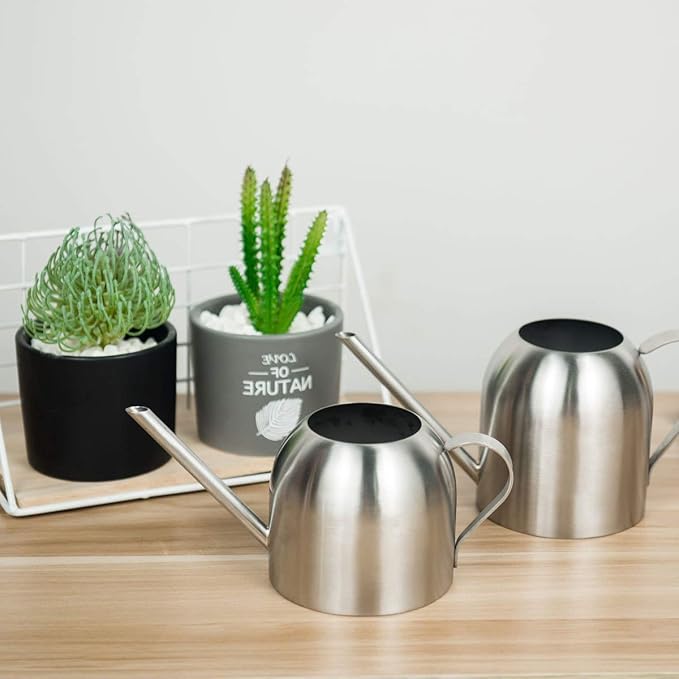 Fasmov Stainless Steel Watering Can, Small Modern Style Watering Pot, 15oz/450ml Watering Can with Long Spout to Prevent Spillage, Perfect Plant Watering Can for Outdoor and Indoor Plants (Silver)