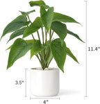 Mkono Fake Plants in Ceramic Pot, 11" Potted Artificial Plants for Home Decor Indoor Faux Green Leaf Plant with Modern White Planter for Desk Shelf Office Room Decoration (Pothos)