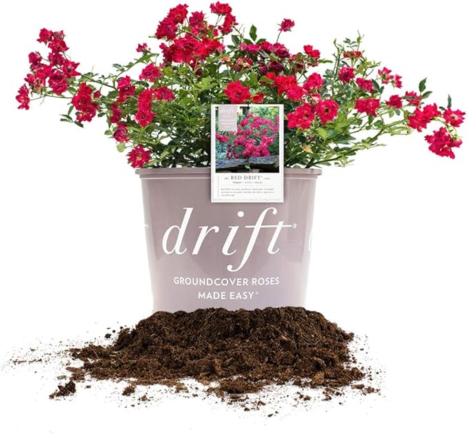 Red Drift 1 Gallon