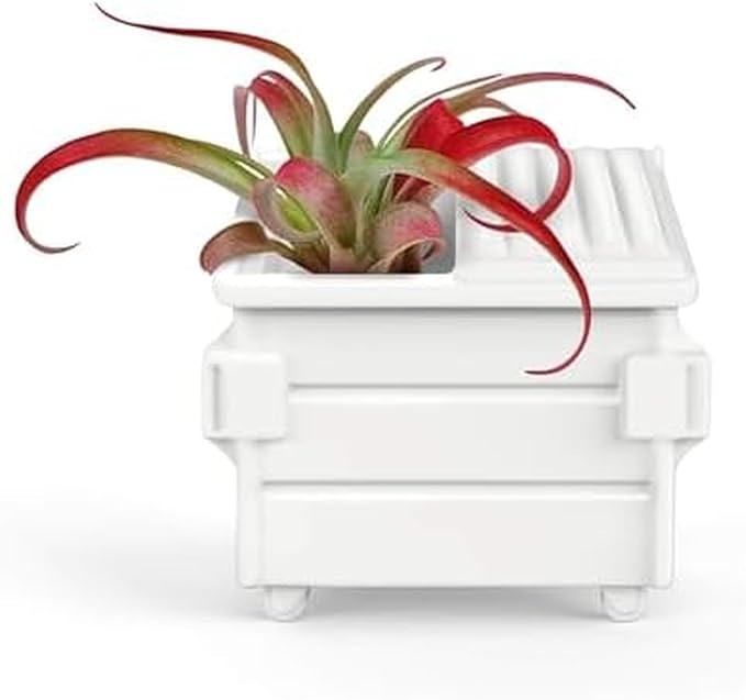 Fred Fancy Plants Dumpster Shaped Air Plant Holder - Unique Ceramic Planter for Tillandsia & Small Air Plants - Decorative Indoor Display for Office Desk, Bookshelf, Coffee Table