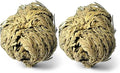 Rose of Jericho - Resurrection Plant/Flower - Selaginella Lepidophylla (2)
