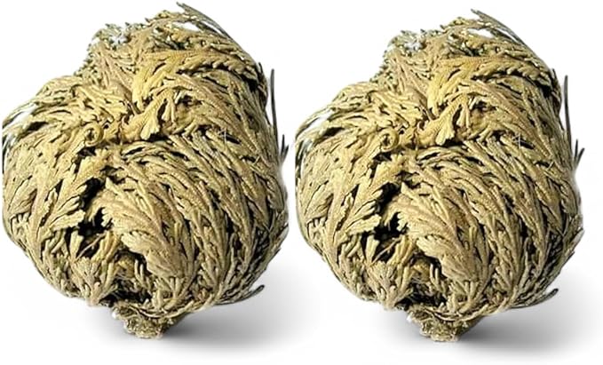 Rose of Jericho - Resurrection Plant/Flower - Selaginella Lepidophylla (2)