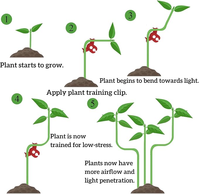 Goaste 100 Pack Plant Training Clips, 90 Degrees Plant Stem Bender, Low Stress Plant Branch Trainer Clips for Flowers, Vegetables (Circle Style,Red)