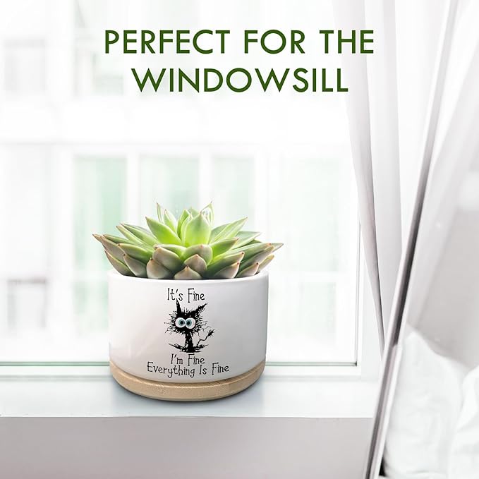 Funny Cat Plant Pot for Succulent, Cactus Flower Planter for Indoor Plants, Cute Succulents Pots with Inspirational Quote, Windowsill Decor Planter Gift for Cats Owner Cat Lover (No Plants)