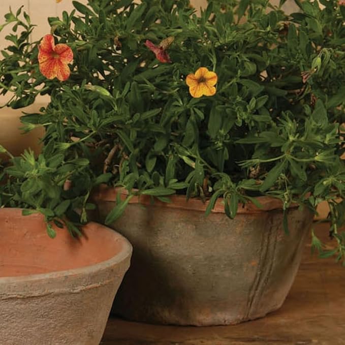 HomArt Rustic Terra Cotta Oval Pot, Large, Antique Red, 1-Count