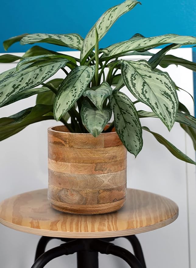 Serene Spaces Living Mango Wood Cachepot Set of 4, 9" Diameter & 8.5" Tall, Suitable for Indoor Potted Plants