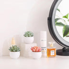 Tiita Artificial Faux Succulents in Pots Fake Plants Ceramic Arrangement Planter for Women Desk Small Mini Tiny Decoration for Home Office Desk Window