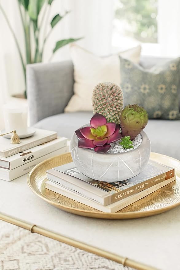 Artificial Cactus Plants Indoor, 5.5" Assorted Small Faux Purple Succulent in Pots Fake Potted Desk Plant with Concrete Bowl Succulents Artificial Cactus Decor for Home Office Bathroom Table Shelf