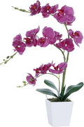 Faux Orchid in Vase Artificial Orchid in Ceramic Vase Tall Silk Orchids with Stems Real Look Potted Phalaenopsis Flowers Arrangement Centerpiece Table Decorations for Home Decor Indoor, Fuchsia