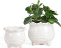 Fayoula Ceramic Planter, 2 Piece Ceramic Planter Set with Drainage Hole for Home and Office, Indoor Plant Potting, Suitable for Succulents, Bonsai, Snake Grass and Money Tree, etc. (White)