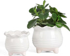 Fayoula Ceramic Planter, 2 Piece Ceramic Planter Set with Drainage Hole for Home and Office, Indoor Plant Potting, Suitable for Succulents, Bonsai, Snake Grass and Money Tree, etc. (White)