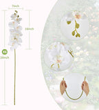 6 Pcs Artificial Orchid Stems 33.5" Tall 9 Large Petals Fake White Phalaenopsis Flower Arrangements for Home Wedding Living Room Table Centerpiece Office Table Decor White