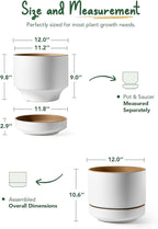 LE TAUCI 12 Inch Pot for Plants with Saucer, Ceramic Indoor Planter Pot with Drainage Hole, Mesh Pad & Plug Included, Matte Glazed Outside, Modern for Home and Office, Alpine White & Ochre
