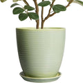 Ceramic Planter - 10 Inch Plant Pot for Indoor Outdoor with Drainage Hole and Plant Tray, Modern Round Home Office Patio Room Decor, House Warming Gifts, Green
