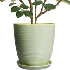 Ceramic Planter - 10 Inch Plant Pot for Indoor Outdoor with Drainage Hole and Plant Tray, Modern Round Home Office Patio Room Decor, House Warming Gifts, Green
