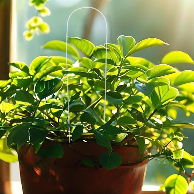 10Pcs U-Shaped Plant Trellis for Climbing Plants, Acrylic Houseplant Trellis for Monstera Pothos Plants, Plant Support for Potted Plants Accessory Vine Ivy Hoya Flowers Indoor Outdoor