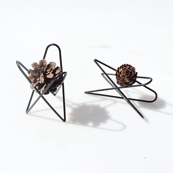 4 Black Air Plants Stand Desktop Geometry Airplants Holder Air Ferns Display Rack Air Tillandsia Metal Base Ornament for Plants