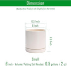 D'vine Dev 6.5 Inch Ceramic Planter Pot with Drainage Hole and Saucer, Indoor Cylinder Round Planter Pot, Oatmeal, 94-O-C-8