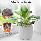 Landscaping Rocks,Landscaping Pebbles River Rocks Decorative Ornamental Pebbles Garden Landscaping Stones Gravel Filler for Home Decoration Flower Bed Fish Tank Plants Vases Succulents (5 Pounds)
