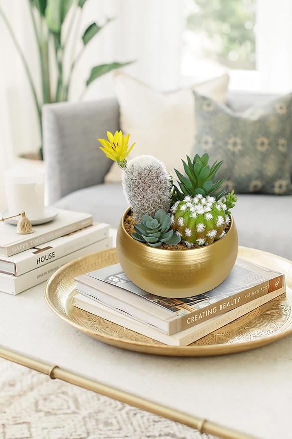 Oairse Artificial Cactus Plants Indoor, 7" Assorted Small Faux Succulent in Pots Fake Potted Desk Plant with Gold Bowl Mini Succulents Artificial Cactus Decor for Home Office Bathroom Table Shelf