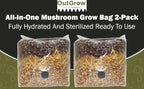 All in One Mushroom Grow Bag (2 Pack)