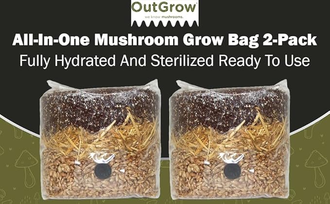 All in One Mushroom Grow Bag (2 Pack)
