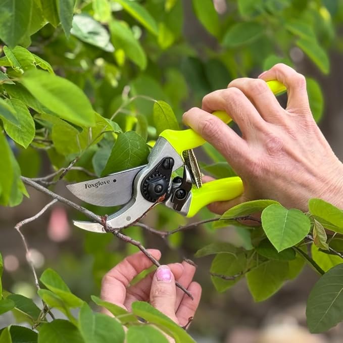 Foxglove Pruning Shears – Professional Garden Shears & Bypass Hand Pruners with Japanese SK5 High Carbon Steel Blades, Heavy Duty Garden Clippers & Gardening Tools