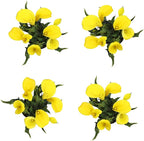 Calla Lily Plants Live Plants for Garden (4 Pack), Yellow Flowers for Delivery Prime, Potted Flowers for Garden Flowers Live Plants Outdoor Plants Live Houseplants, Calla Lily Bulbs by Plants for Pets