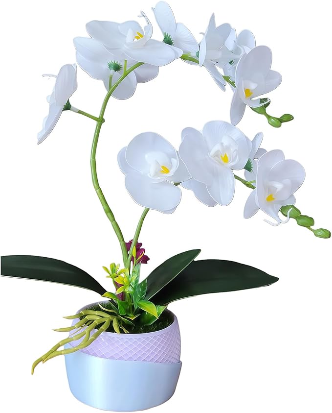 Artificial Orchid with 3D Printed Vase, Lifelike Fake Phalaenopsis Silk Flowers for Home Decor Living Room, Realistic Faux Orchids for Table Centerpiece(White)