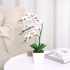 15" Tall Artificial Silk Phalaenopsis Orchid Flower Plant Pot Arrangements (White)