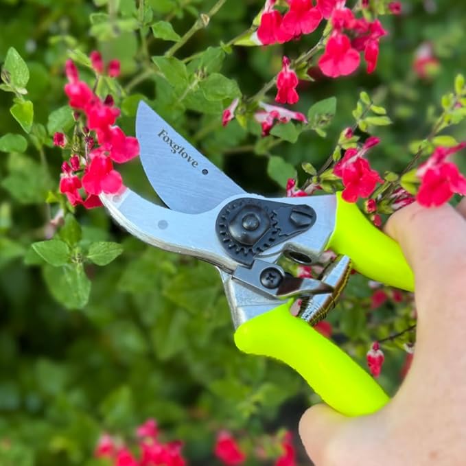 Foxglove Pruning Shears – Professional Garden Shears & Bypass Hand Pruners with Japanese SK5 High Carbon Steel Blades, Heavy Duty Garden Clippers & Gardening Tools
