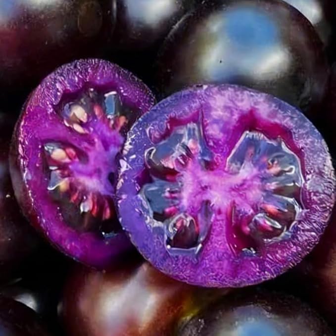 Dwarf Cherokee Tomato Seeds for Planting, 280+pcs Organic Tomato Vegetable Seeds Plants, Non-GMO Heirloom Vegetables Plants Fresh Food Home Garden for Outdoors Indoors