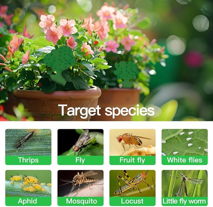 58 Pack Flying Insect Traps for Plants – Green Sticky Traps for Fungus Gnats, Flies & Flying Bugs, Indoor Outdoor Flying Bug Catcher for Pots, Garden & Kitchen, Non-Toxic, Odorless, Kid & Pet Safe