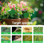 58 Pack Flying Insect Traps for Plants – Green Sticky Traps for Fungus Gnats, Flies & Flying Bugs, Indoor Outdoor Flying Bug Catcher for Pots, Garden & Kitchen, Non-Toxic, Odorless, Kid & Pet Safe