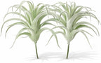 2 Pack Artificial Air Plants, Realistic Looking Faux Tillandsia Succulents for Home Decor, Indoor Outdoor Garden, Terrarium, Office Desk, Wedding Displays (Flocking)