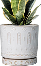 Pot for Plants 6 Inch - Ceramic Planter for Indoor Plants Decorative Plant Pot with Drainage Holes and Saucer Outdoor Flower Pot Modern Succulent Pots for Office Desk Decor White