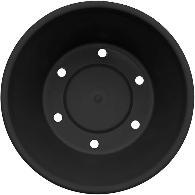 Bloem Terra 6" Diameter Round Black Resin Planter Pot with Drainage Holes for Indoor and Outdoor Gardening