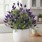 4 Lavender Plants Live Starter Plants 4-6" in Tall, Hardy Perennial Lavender for Garden and Landscape with Fragrant Purple Blooms, No Pot (Blue-Purple)