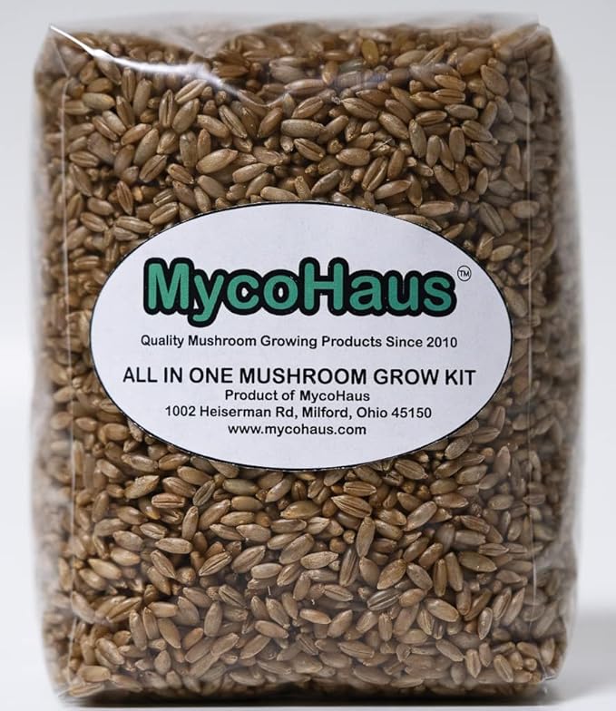 MycoHaus Mushroom Growing Kit | Sterilized Rye Grain | Magic Indoor Grow Bags for Mushrooms | Shroom Home Cultivation Magic Supplies | Without Spores | Without Injection Ports | 2 Pound (4 Pack)