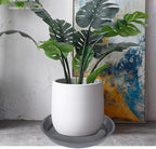 VUWEZ 6 Pack of Plant Saucer 14 Inch (12 Inch Base), 14 Inch Plant Saucer, Plastic Plant Trays for Pots, Plant Saucers for Indoors Round, Planter Tray for Planter 11"/12"/13" (14", Gray)