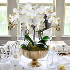 DILATATA Blooming Phalaenopsis Orchid Artificial 31.5" Long Stem with 9 Large Orchids Flowers Artificial Flowers for Decoration Home Arrangement-White Green Orchid 2 Pcs