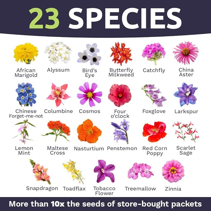 Bulk Wildflower Seeds Butterfly and Humming Bird Mix - 1/4 Pound Bag - Over 30,000 Open Pollinated Annual and Perennial Seeds
