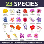 Wildflower Seeds Butterfly and Humming Bird Mix - Large 1 Ounce Packet 7,500+ Seeds - 23 Open Pollinated Annual and Perennial Species