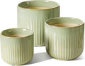 LE TAUCI Ceramic Pots for Plants, 8.3/7/6 Inch Indoor Planters with Drainage Holes & Mesh, Modern Glossy Glaze Cylinder Fluted Plant Pot for Snake Plant, Set of 3, Sage Green