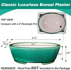MUZHI 9” Glazed Oval Green Bonsai Planter Pot with Humidity Tray, Classic Neat Ice Crack Long Bonsai Tree Succulent Plant Pot with Saucer
